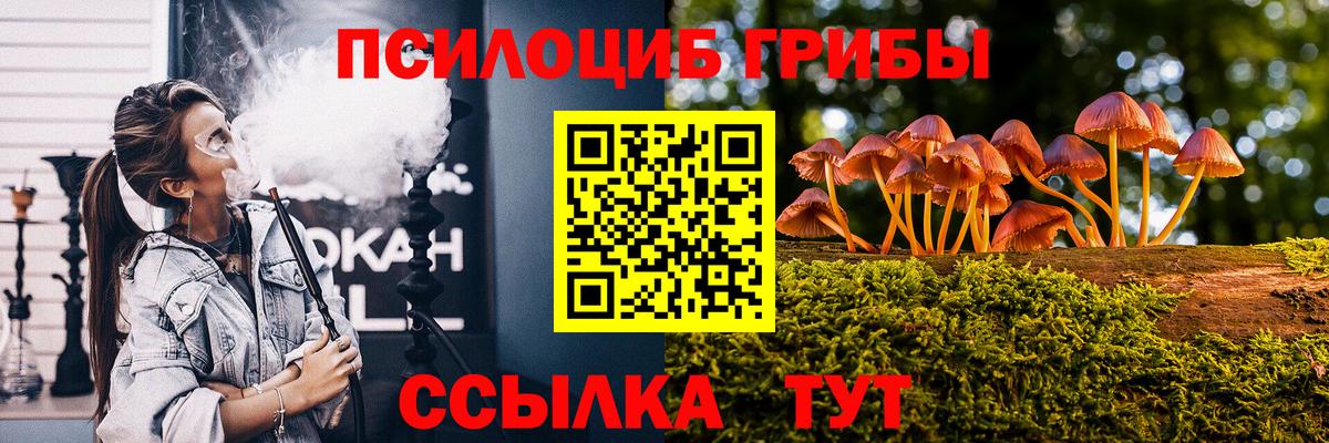 Кировск  сколько стоит  Вход с VPN  Галлюциногенные грибы мухоморы 